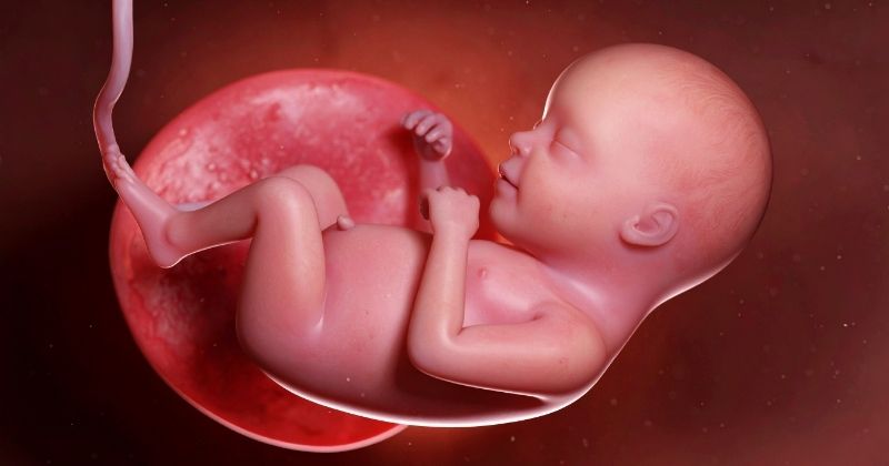 Cách điền họ tên và thông tin trong bài văn khấn cho thai nhi