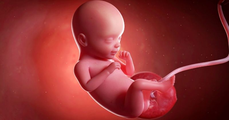 Cách xưng hô trong văn khấn khi thai nhi chưa được đặt tên