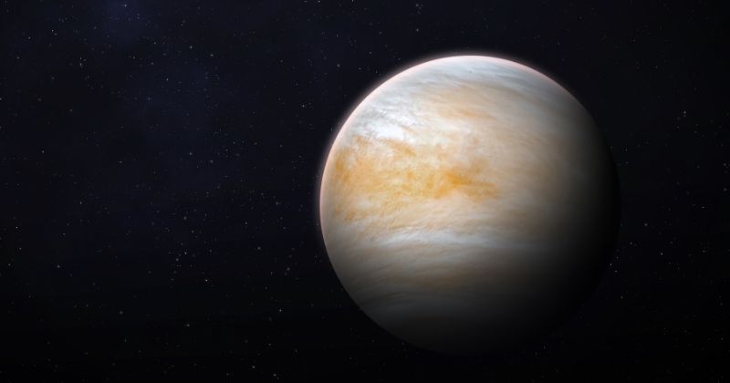 Sự khác nhau giữa cung Venus và nhà chứa Venus