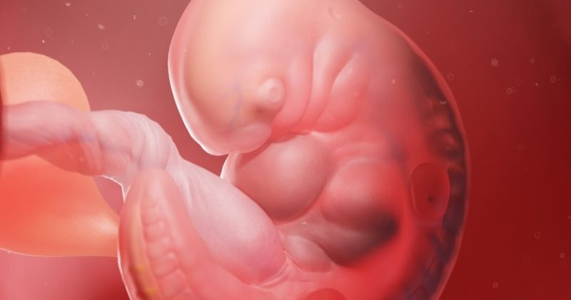 Mốc 7 tuần có phải thời điểm linh hồn nhập vào thai nhi không
