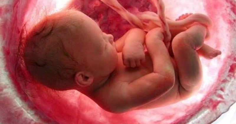 Phân biệt văn khấn và bài kinh cầu siêu cho thai nhi
