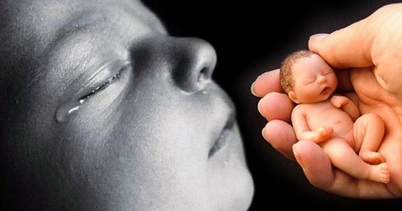 Mâm lễ đơn giản sau khi phá thai gồm hoa quả, hoa tươi, nước và sữa