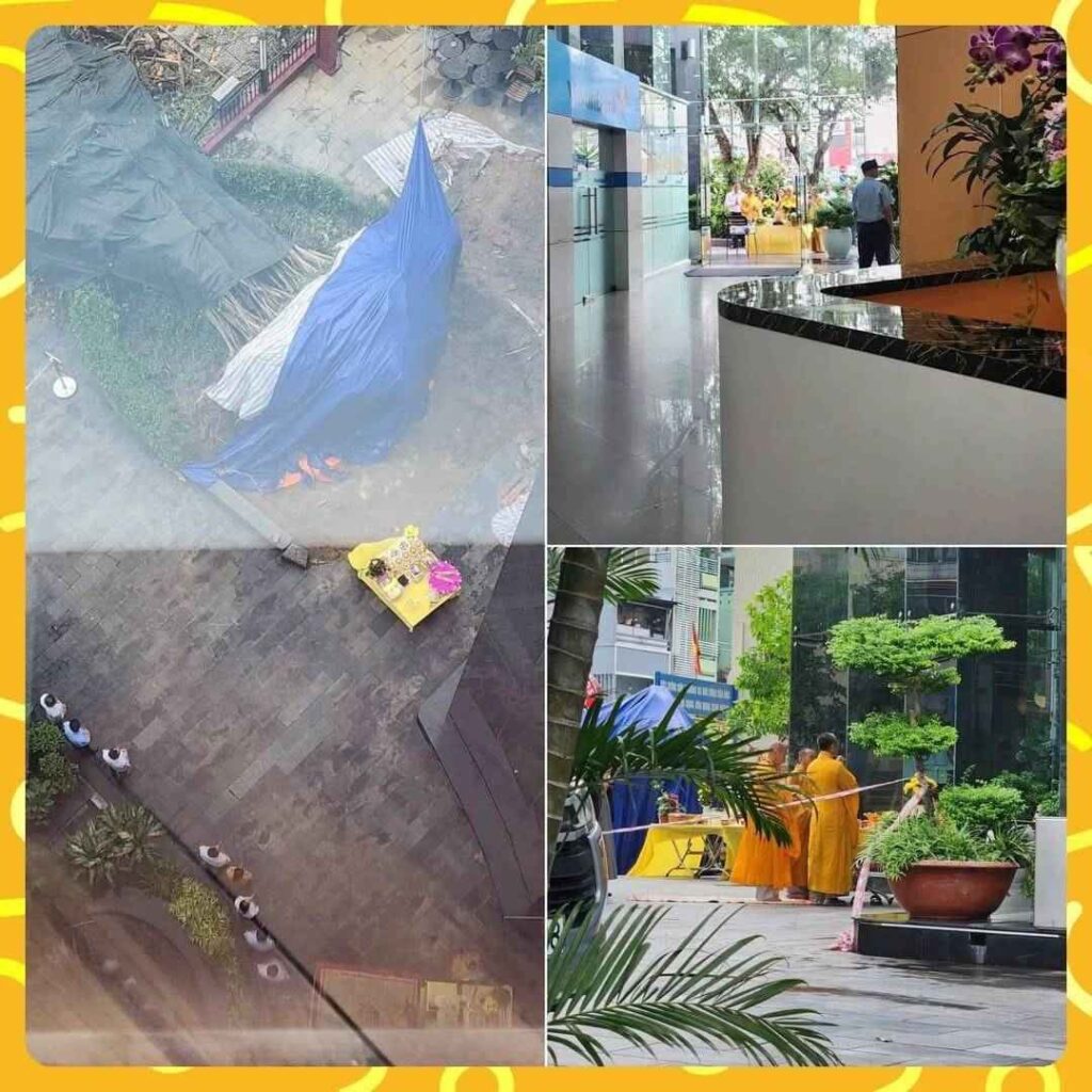 Cây cổ thụ Võ Thị Sáu bật gốc ngày 7/10/2026 và góc nhìn phong thủy người mệnh Mộc