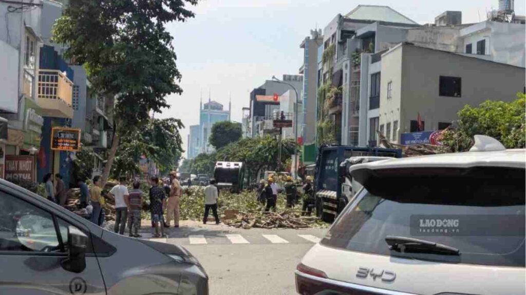 Hiện trường cây cổ thụ bật gốc tại giao lộ Đinh Tiên Hoàng Võ Thị Sáu ngày 7/10/2026