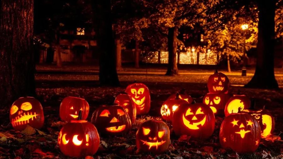 Bí ngô đêm halloween