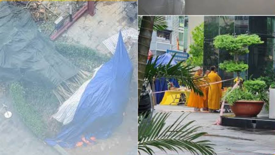 Cây cổ thụ Võ Thị Sáu bật gốc ngày 7/10/2026 và góc nhìn phong thủy người mệnh Mộc