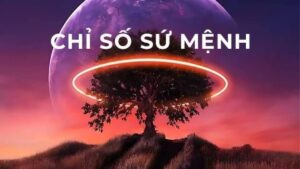 Chỉ số sứ mệnh Destiny Number và cách tính từ họ tên theo thần số học